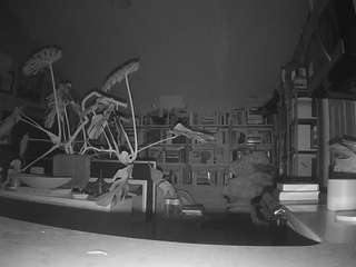 voyeurcam bridgetleewalters 02